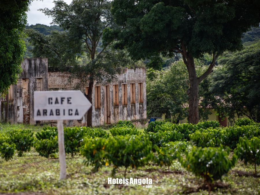 Kahombo Rural - Image 27